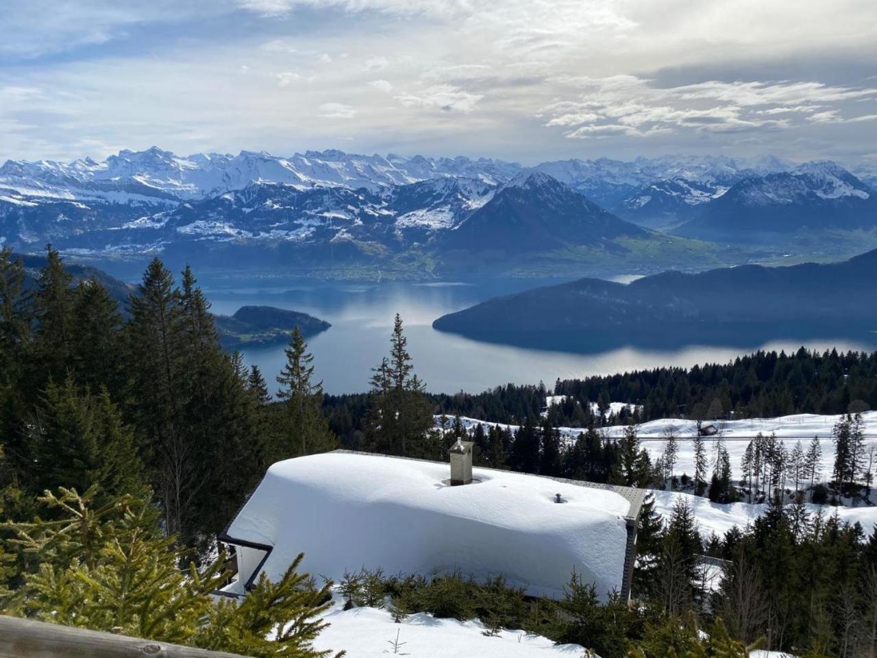 Chalet Oz Vitznau Exteriör bild